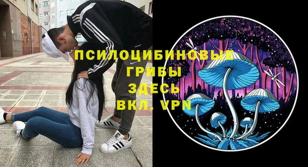 каннабис Белокуриха