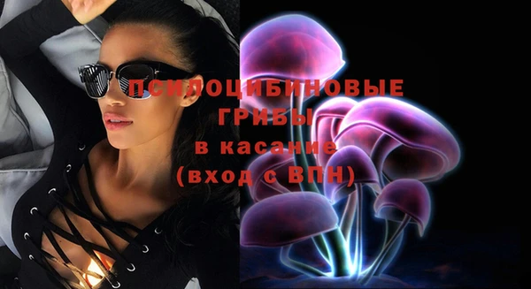 мдпв Бугульма