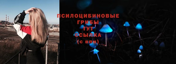 молекула духа Богданович