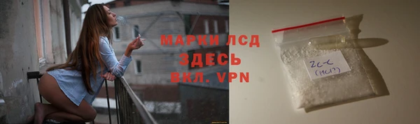 молекула духа Богданович