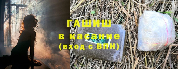 молекула духа Богданович