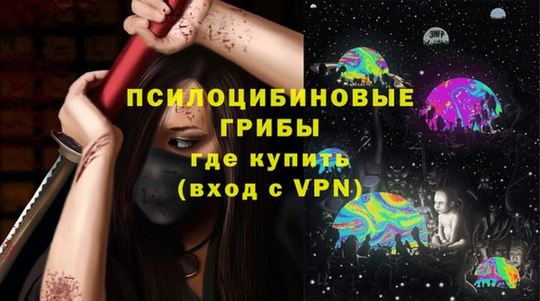соль курить ск Бородино