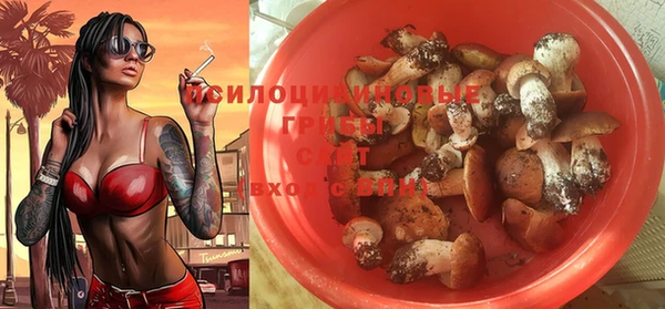 COCAINE Богородск