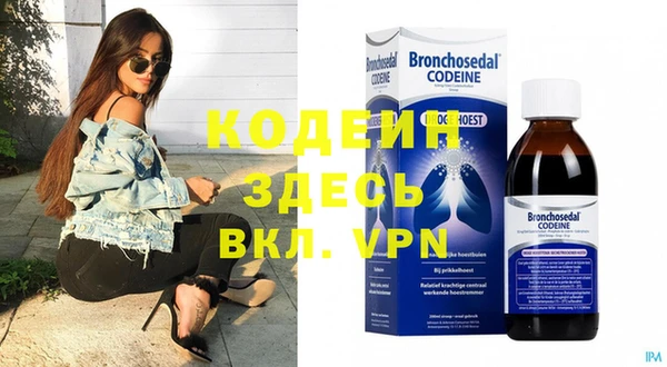 молекула духа Богданович