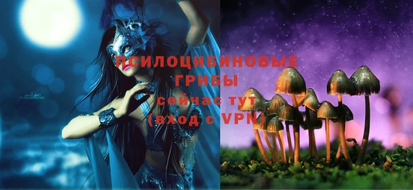 молекула духа Богданович