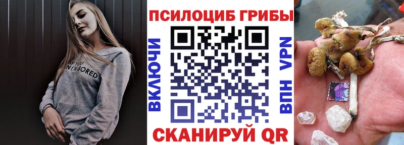Псилоцибиновые грибы Cubensis  Бежецк 
